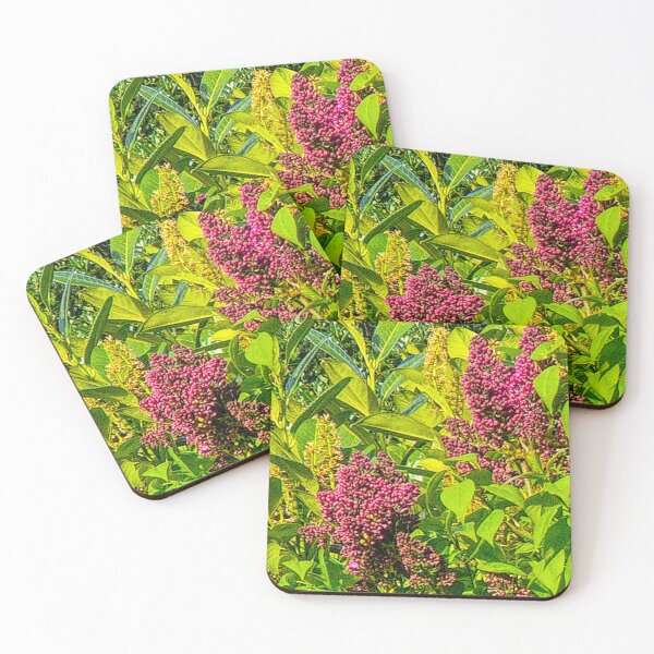 Item preview, Lilac in Bloom 2 designed and sold by jalfc46.