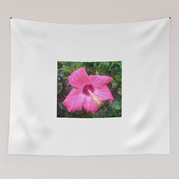 Item preview, Pink Hibiscus Summer Flower Before Sunset After Rain designed and sold by CakenCoffeeCafe.