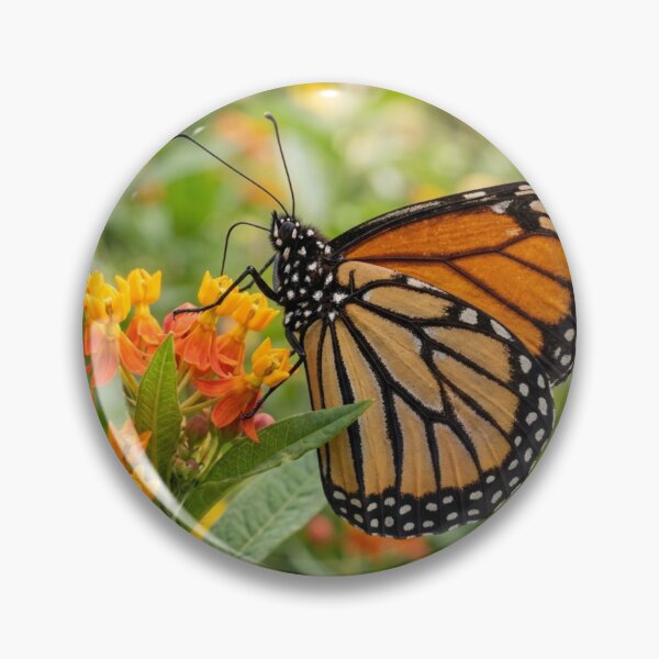Item preview, Butterfly perched on a flower designed and sold by Malisa345.