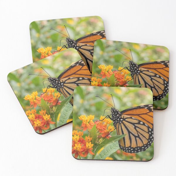 Item preview, Butterfly perched on a flower designed and sold by Malisa345.
