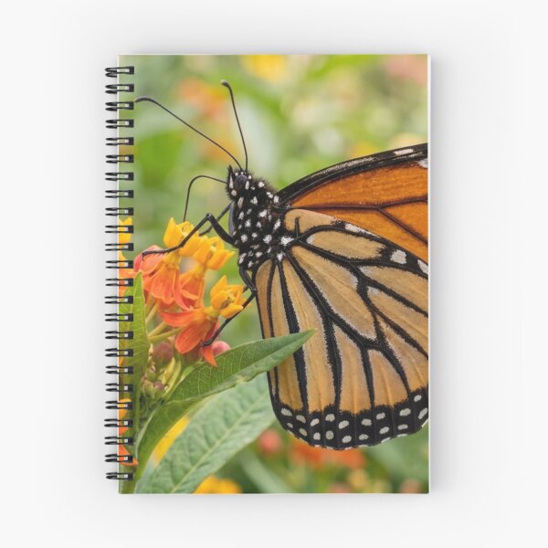 Item preview, Butterfly perched on a flower designed and sold by Malisa345.