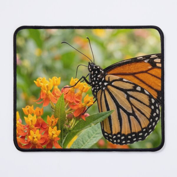 Item preview, Butterfly perched on a flower designed and sold by Malisa345.
