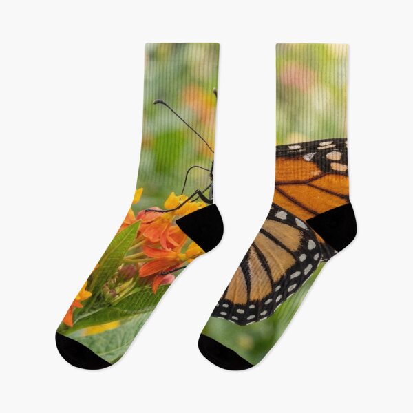Item preview, Butterfly perched on a flower designed and sold by Malisa345.