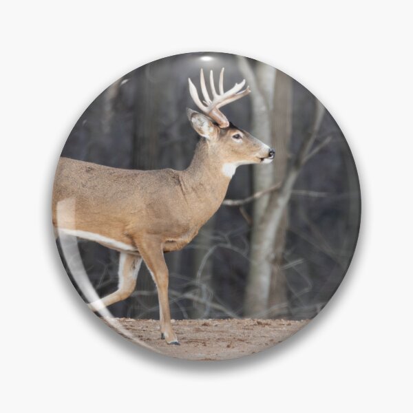 Item preview, Big Buck On The Move 3-2-2026 designed and sold by Thomasyoung.