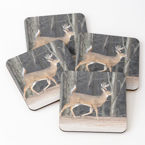 Item preview, Big Buck On The Move 3-2-2026 designed and sold by Thomasyoung.