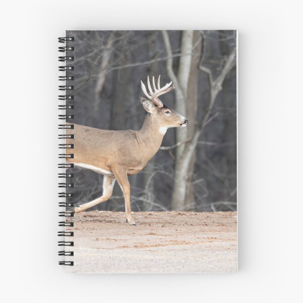 Item preview, Big Buck On The Move 3-2-2026 designed and sold by Thomasyoung.