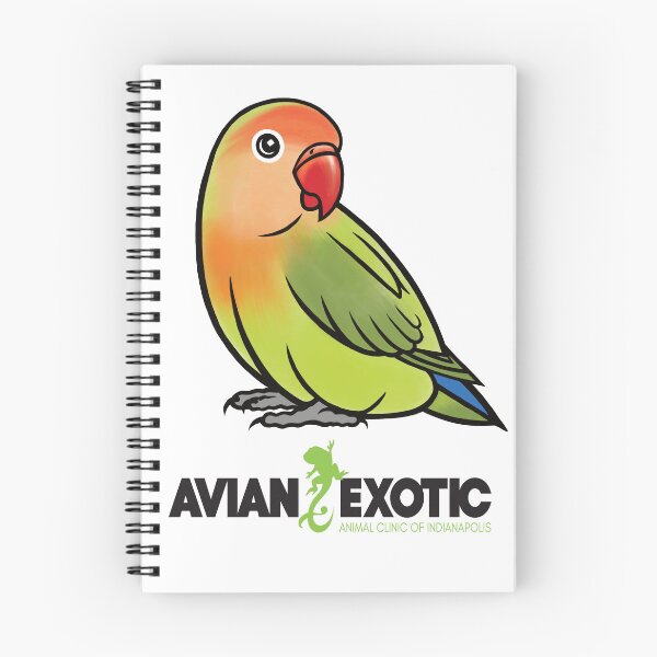 Item preview, Lovebird designed and sold by exoticvetclinic.