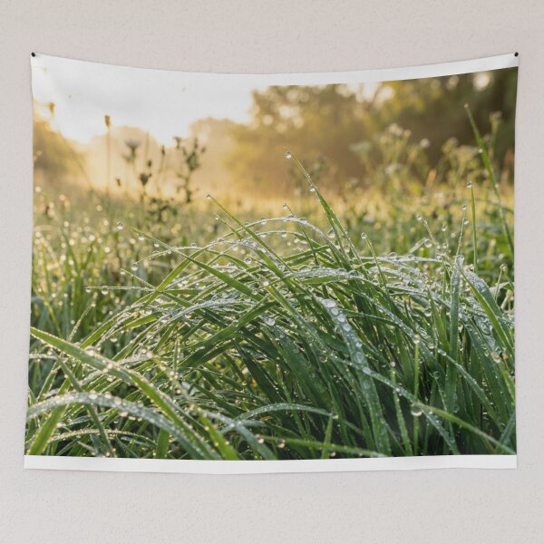 Item preview, Morning dew on the grass – realistic nature macro at sunrise designed and sold by Malisa345.