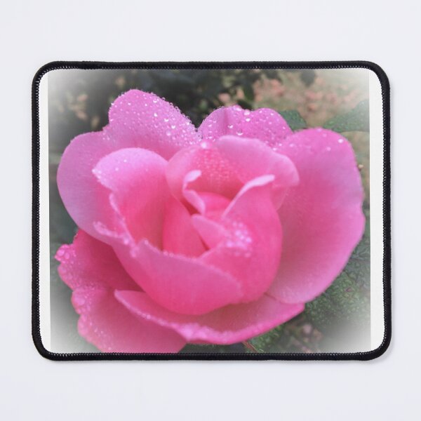 Item preview, Pink Rose after Rain in Peekskill designed and sold by CakenCoffeeCafe.