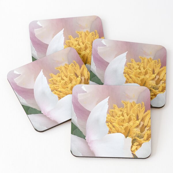 Item preview, Yellow and white peony flower at Locust Grove Estate designed and sold by CakenCoffeeCafe.
