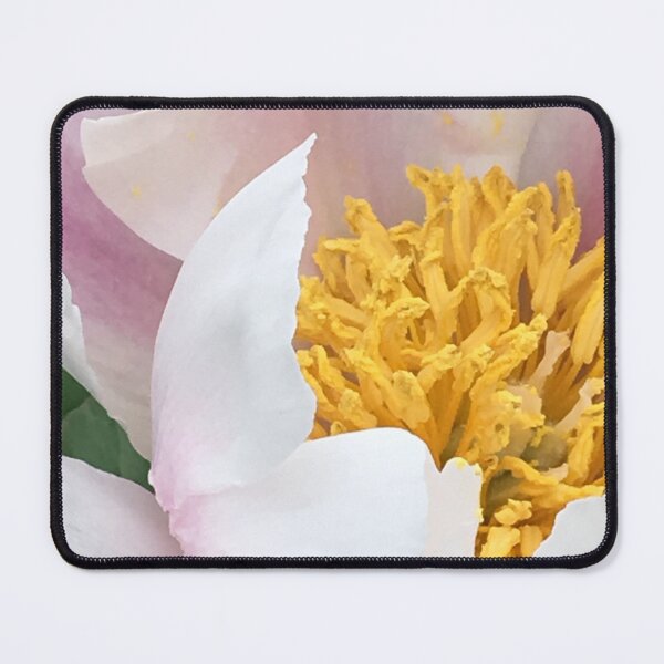 Item preview, Yellow and white peony flower at Locust Grove Estate designed and sold by CakenCoffeeCafe.