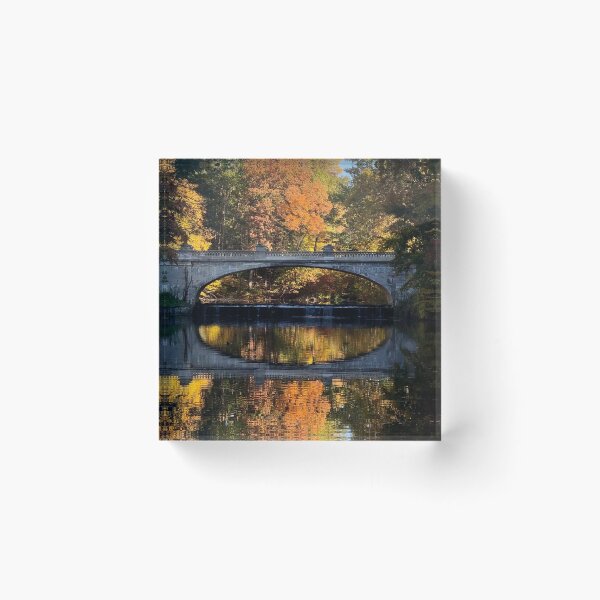 Item preview, Bridge to Vanderbilt Estate with Autumn Leaves designed and sold by CakenCoffeeCafe.