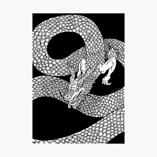 Grinning Dragon Photographic Print