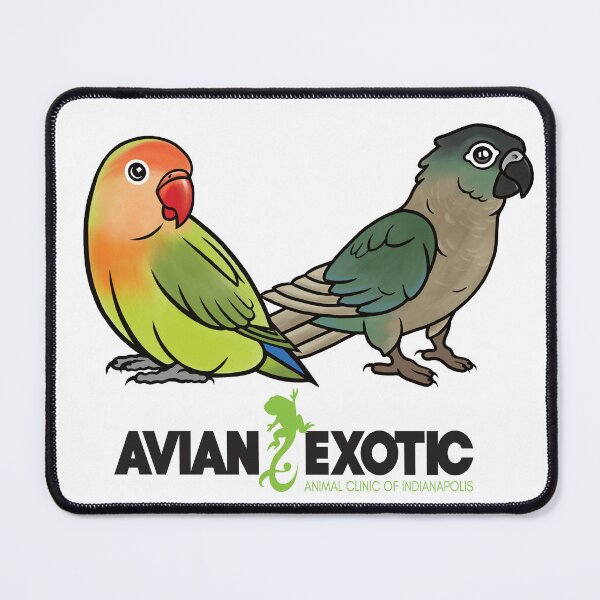 Item preview, Cute parrots designed and sold by exoticvetclinic.