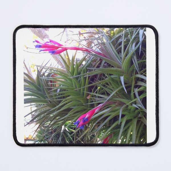 Item preview, Aerial roots in the flower designed and sold by Farbfroh.