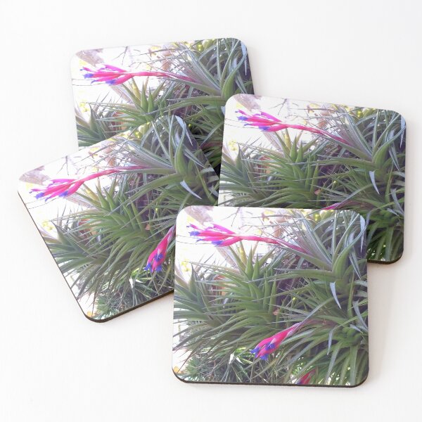 Item preview, Aerial roots in the flower designed and sold by Farbfroh.