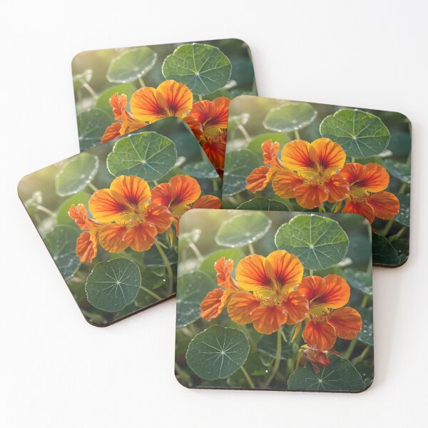 Item preview, Vibrant Orange Nasturtium Floral Macro designed and sold by Sybille-Yates.