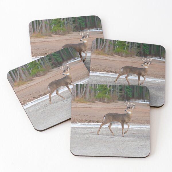 Item preview, Beautiful White-tailed Buck 3-2-2026 designed and sold by Thomasyoung.