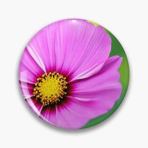 Item preview, Phalaenopsis Aphrodite Pink Flower designed and sold by BostonArcImage.