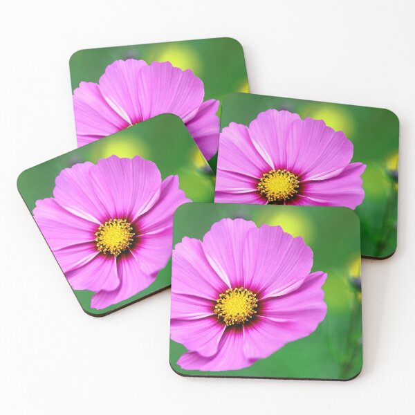 Item preview, Phalaenopsis Aphrodite Pink Flower designed and sold by BostonArcImage.
