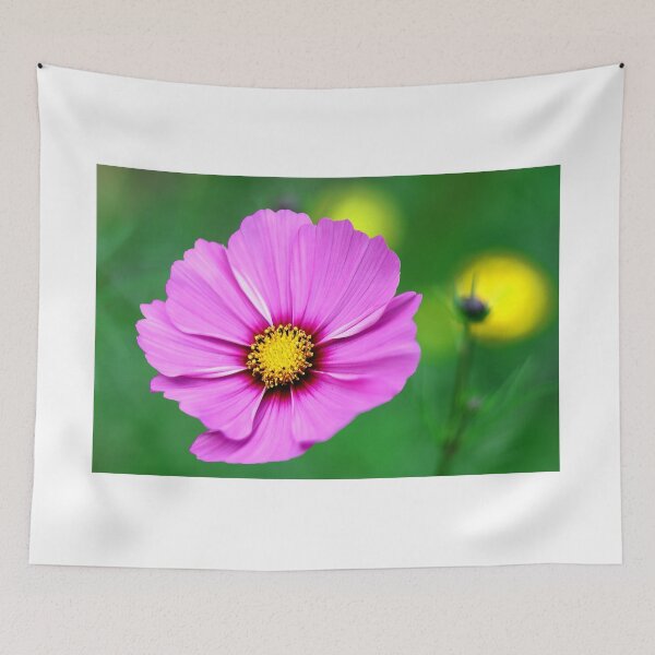 Item preview, Phalaenopsis Aphrodite Pink Flower designed and sold by BostonArcImage.