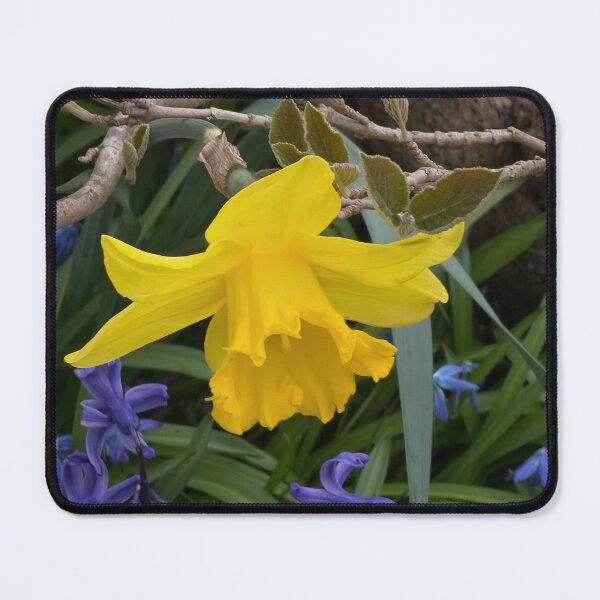 Item preview, Yellow daffodil flower with purple hyacinths designed and sold by venjaukr.