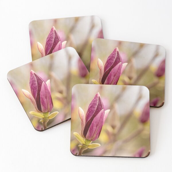 Item preview, Purple Magnolia in Warm Light designed and sold by Rabee Khalil Photography.
