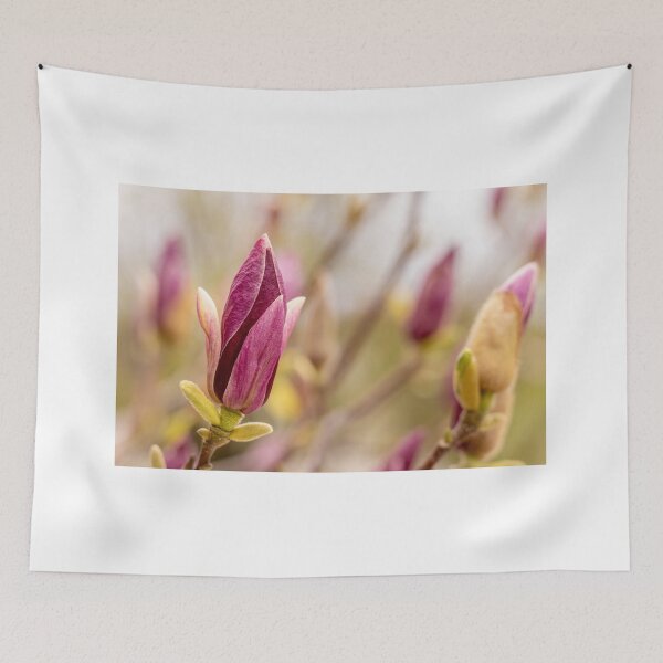 Item preview, Purple Magnolia in Warm Light designed and sold by Rabee Khalil Photography.