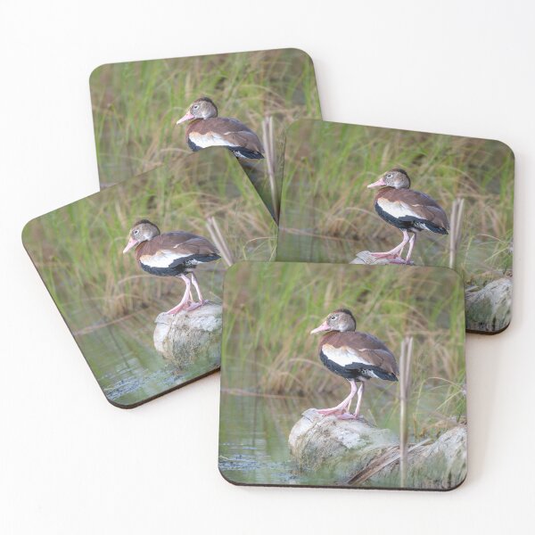 Item preview, Black-bellied Whistling-Duck On A Log designed and sold by Debra Martz.