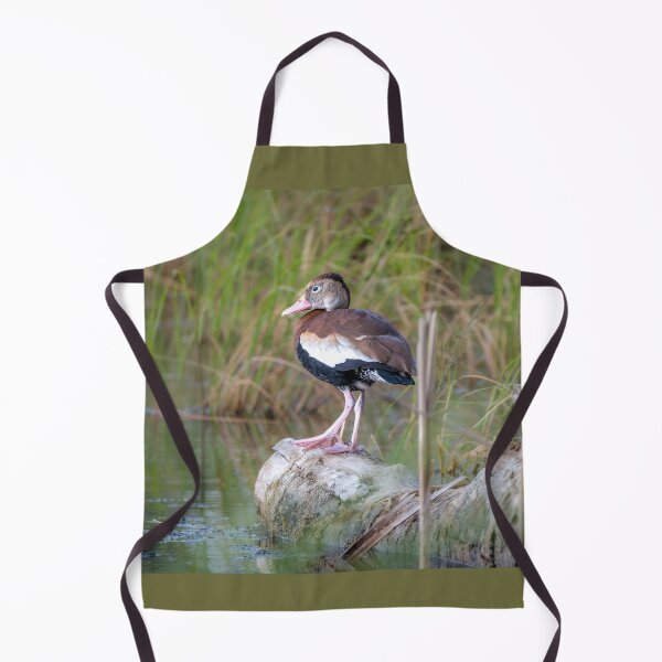 Item preview, Black-bellied Whistling-Duck On A Log designed and sold by Debra Martz.