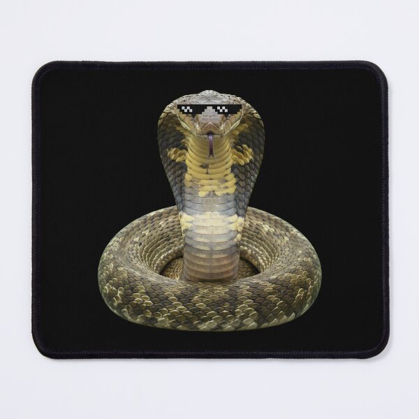 Item preview, Cool King Cobra Wearing Pixel Sunglasses Meme designed and sold by k3rstman1.