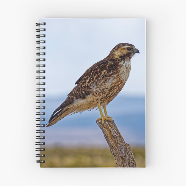 Item preview, Wild Bird of Prey Perched on a Dead Branch designed and sold by Keltoi-art.