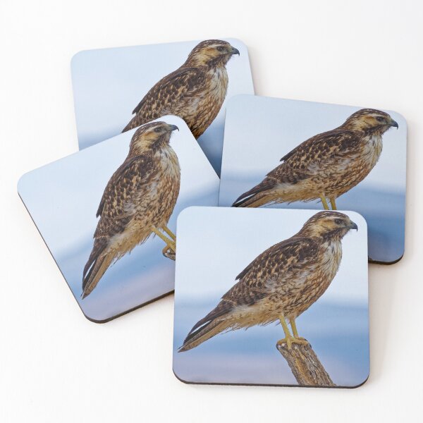 Item preview, Wild Bird of Prey Perched on a Dead Branch designed and sold by Keltoi-art.