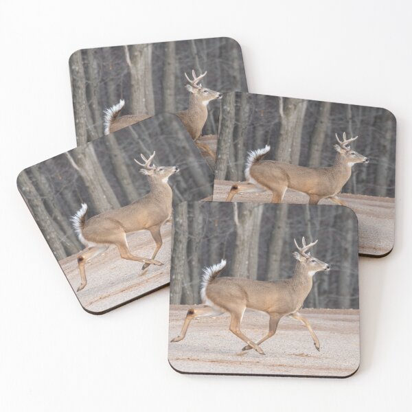 Item preview, Buck on the Run 3-2-2026 designed and sold by Thomasyoung.