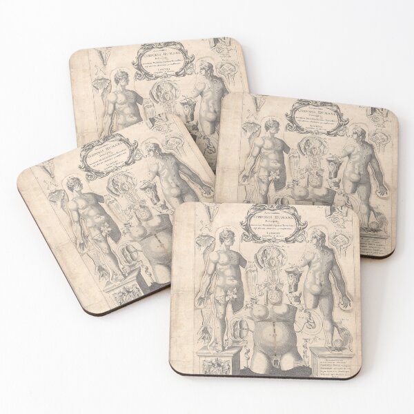 Item preview, Remmelin Human Anatomy | Vintage Medical designed and sold by GammaRay.