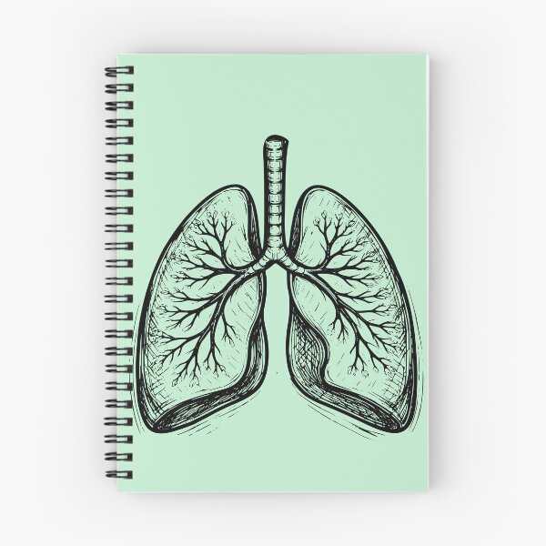 Item preview, lungs designed and sold by Javier Narváez Solarte.