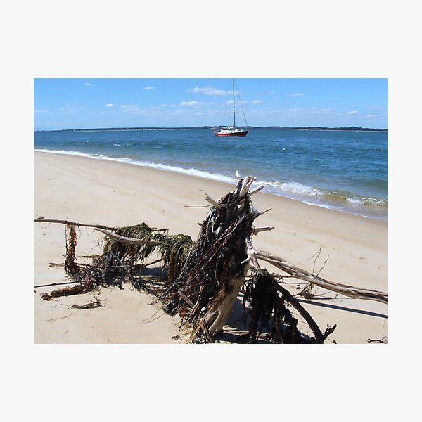 Item preview, driftwood designed and sold by dave price.