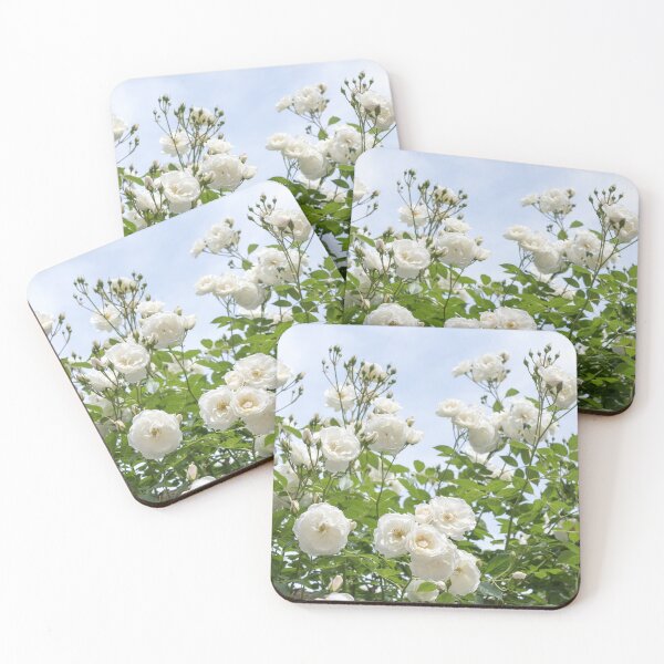 Item preview, Bunches of Bridal White Roses Against the Sky designed and sold by Georgia Mizuleva.
