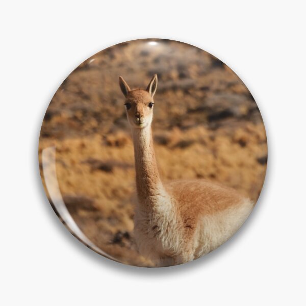 Item preview, Vicuña, Chile designed and sold by photobypj.