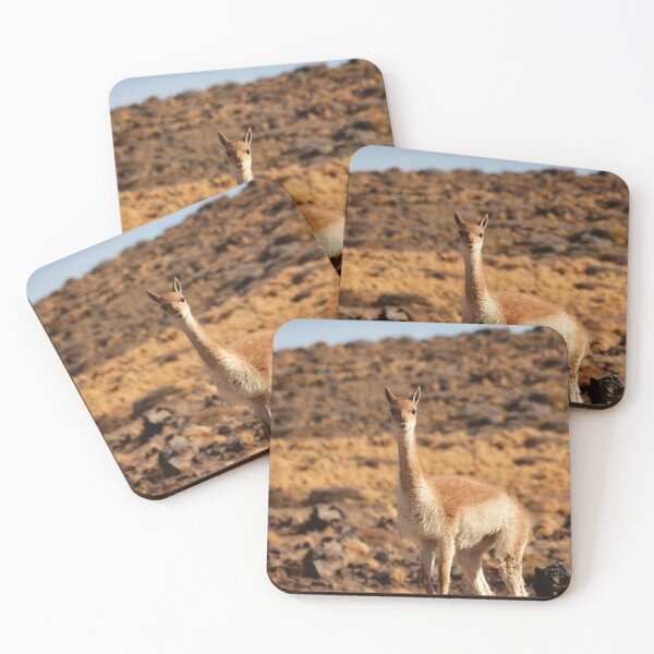 Item preview, Vicuña, Chile designed and sold by photobypj.