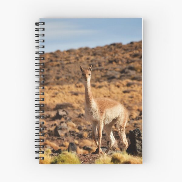 Item preview, Vicuña, Chile designed and sold by photobypj.
