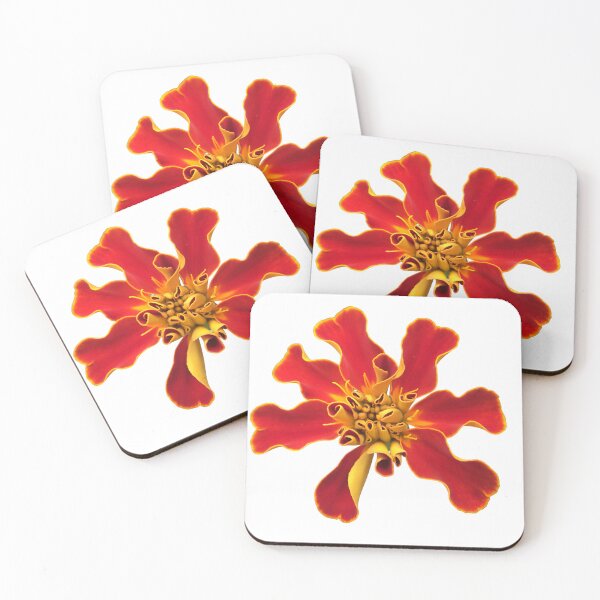 Item preview, Marigold designed and sold by Belly Button Joe .