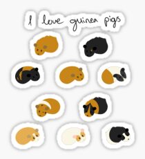 I Love Guinea Pigs - Individual Stickers Sticker