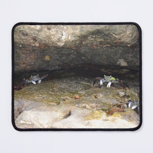 Item preview, Rock Crabs in the Crevice designed and sold by EmmaGraphy.