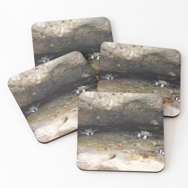 Item preview, Rock Crabs in the Crevice designed and sold by EmmaGraphy.