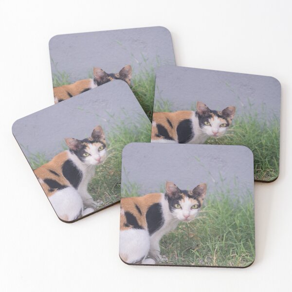 Item preview, Funny Looking Cat with Orange & Black Spots designed and sold by ROSE ANN BANILAR.