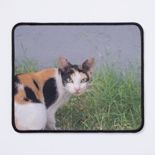 Item preview, Funny Looking Cat with Orange & Black Spots designed and sold by ROSE ANN BANILAR.