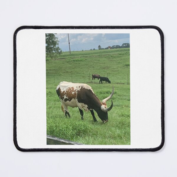 Item preview, Majestic Longhorn Cattle Portrait. designed and sold by Pearls1.