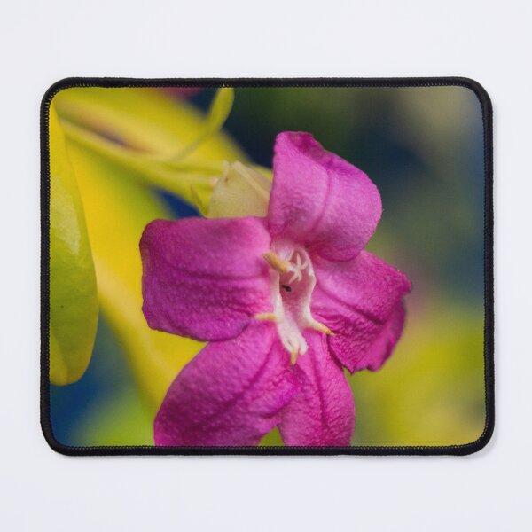 Item preview, Lemonia, Limonia, or Pink Ravenia designed and sold by ROSE ANN BANILAR.