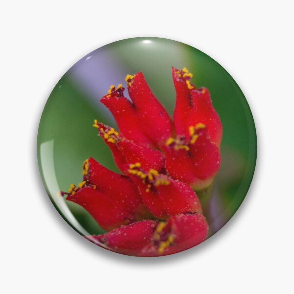 Item preview, Viguier's Spurge designed and sold by ROSE ANN BANILAR.
